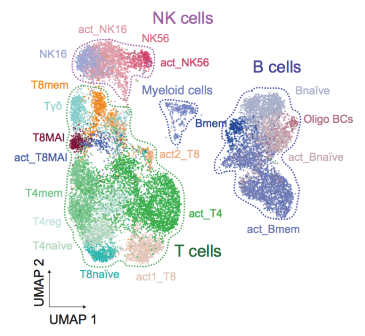 Twins scRNA-seq