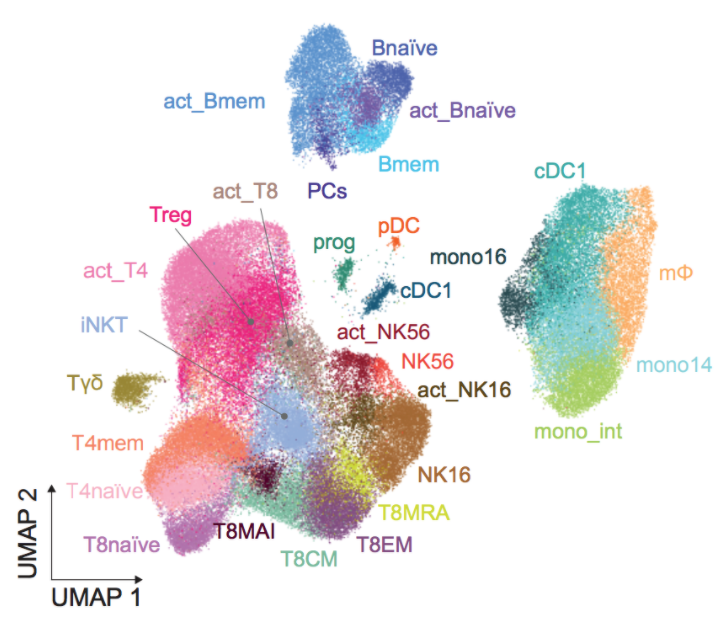 Validation cohort CITE-seq